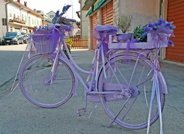 stock image Bike purple color of lavender in bloom