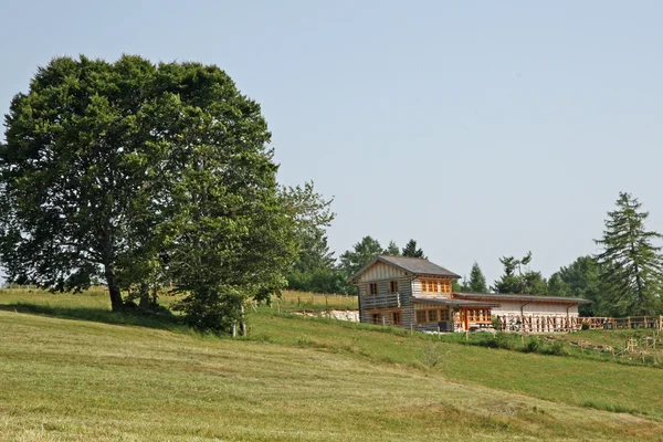 Casa de campo rústica no topo de uma colina e a árvore de séculos velha — Fotografia de Stock