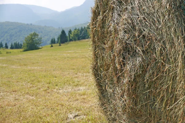 Taze kesilmiş saman balya ve dağ çayır — Stok fotoğraf