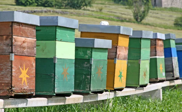 Барвисті вулики, повні бджіл, що виробляють мед в таборі в мо — стокове фото
