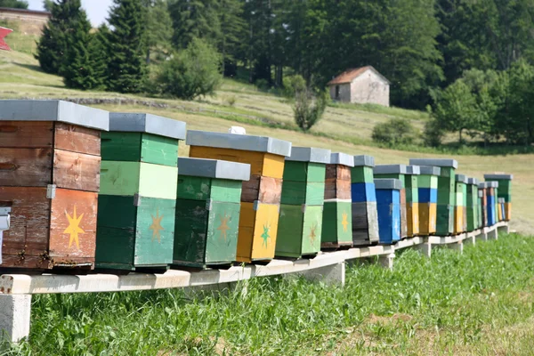 Barevné úly plné včely vyrábějí med v táboře v mo — Stock fotografie