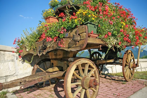Oude houten kar met potten van geraniums bloemen — Stockfoto