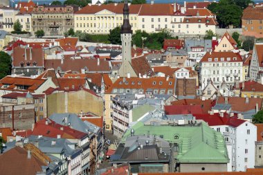 Estonya Avrupa şehri yukarıdan görülen çatı peyzaj