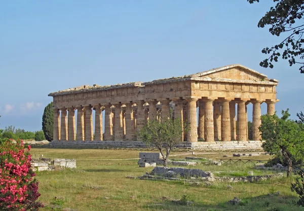 刺激的な古代ギリシャの神殿と手入れの行き届いたキョウチクトウ — ストック写真