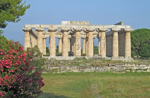 Griechischer Tempel zur Verehrung der Götter in Süditalien — Stockfoto