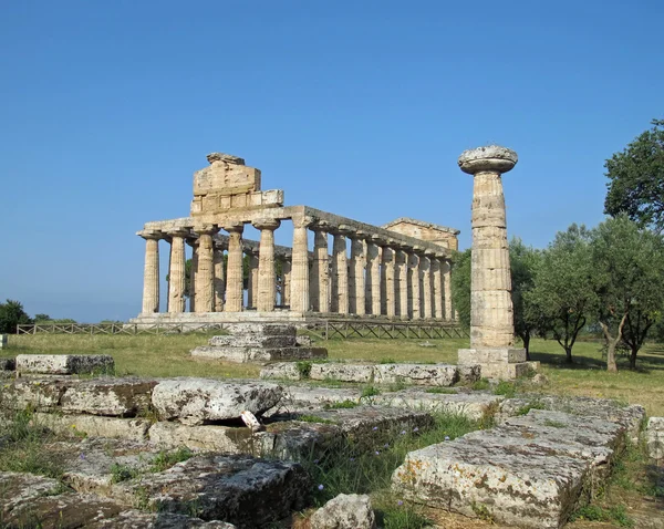 Temple grec antique pour le culte des dieux dans le sud de l'Ita — Photo