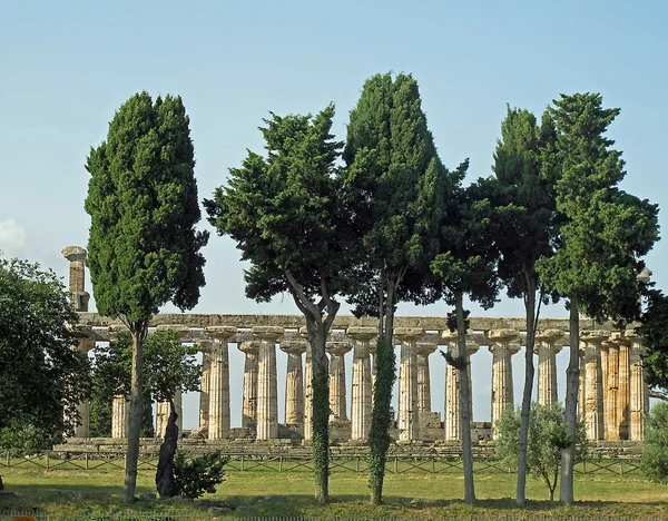 Antik Yunan tapınakları ve ağaçları Güney İtalya — Stok fotoğraf