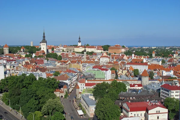 stock image Roof landscape seen from the top of a city in Estonia in Europe