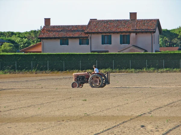 Vecchio trattore con contadino in pieno campo asciutto — Foto Stock