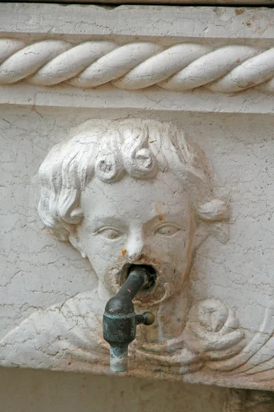 Fountain with the cock coming out — Stock Photo, Image