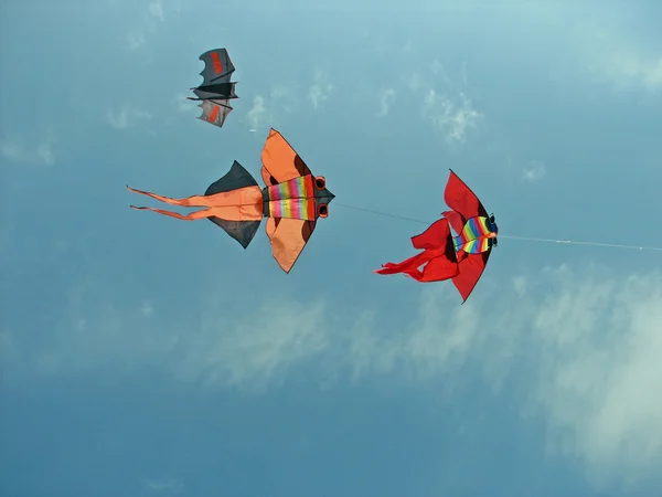 Três grandes pipas voam alto no céu azul — Fotografia de Stock