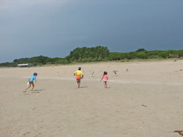 Troje dzieci biegać do połowu mewy na plaży — Zdjęcie stockowe