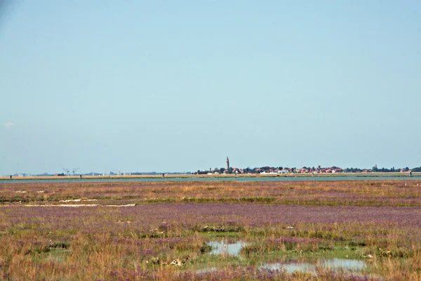 Desolate Venice lagoon with the campanile of Burano in the backg — Stock Photo, Image