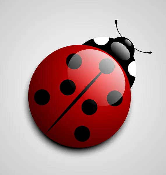 Ladybug icon — Stock Vector