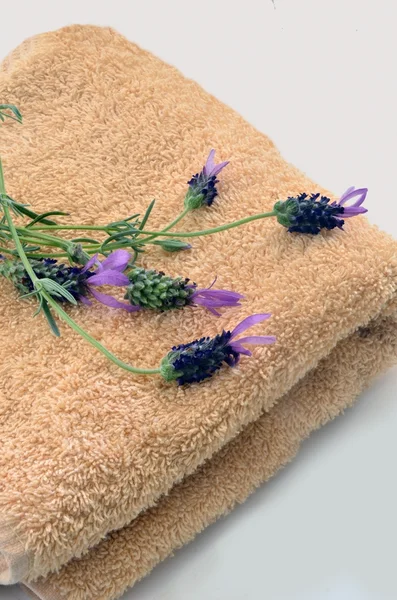 Lavendel op een handdoek — Stockfoto