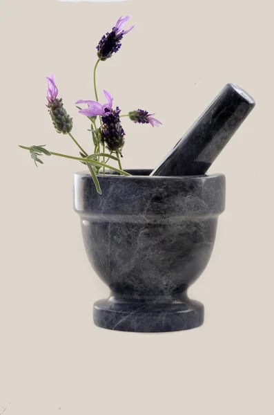 Lavendel und Mörtel — Stockfoto