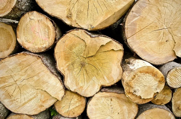 木材原木背景 免版税图库图片