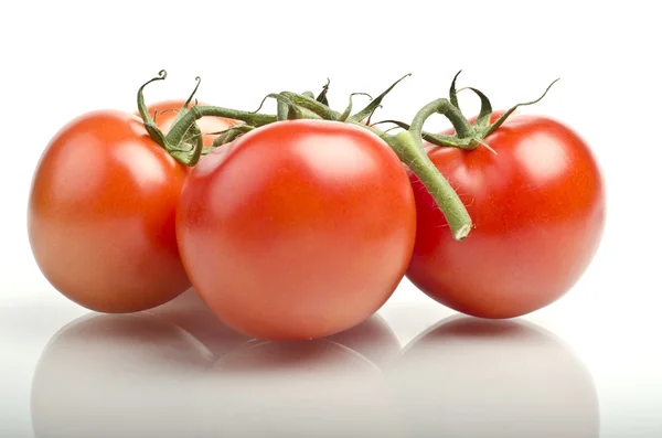 stock image Fresh ripe red tomatoes with reflection