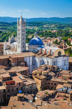 Siena duomo çatı görünümü