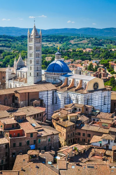 Siena Duomo roof view — Stock Photo, Image