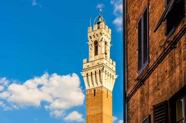 Torre Mangia detail, Siena, Italy — Stock Photo, Image
