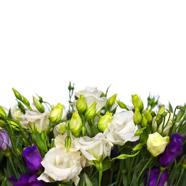 Kytice lisianthus na bílém pozadí — Stock fotografie