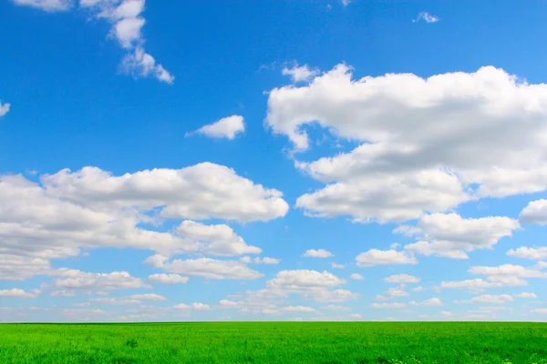 Field under cloudy sky — Stock Photo, Image