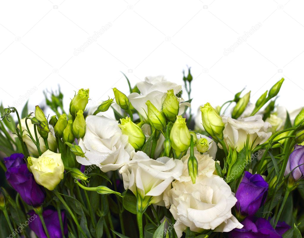 Bouquet of lisianthus flowers on white