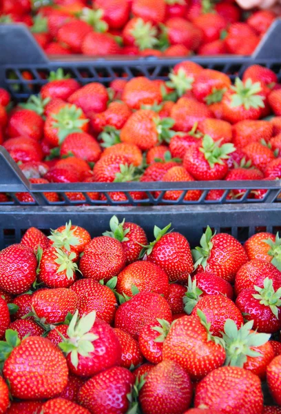 시장에서 딸기 — 스톡 사진