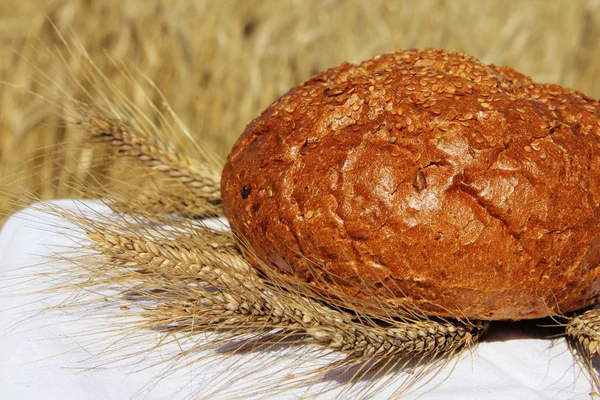 Ekmek ve buğday açık havada — Stok fotoğraf