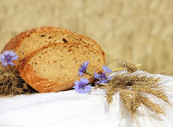 Chléb a pšenice venku — Stock fotografie