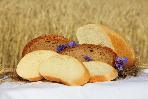 Ekmek ve buğday açık havada — Stok fotoğraf