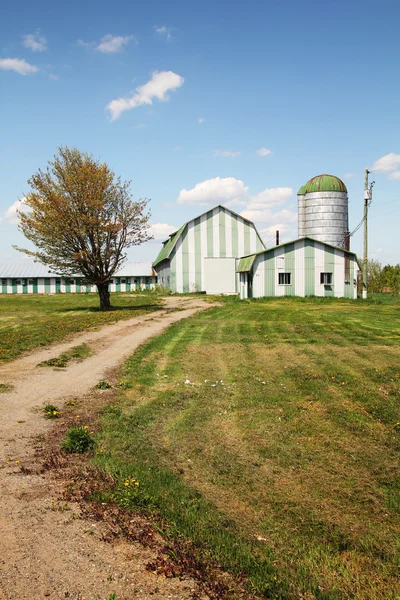 stock image Green farm