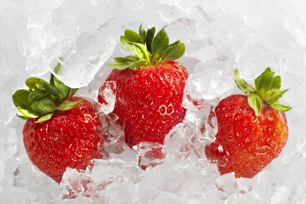 Fresas frescas maduras con cubitos de hielo — Foto de Stock