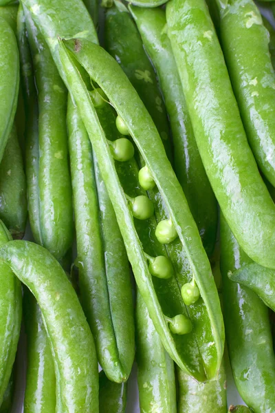 Close-up of fresh green pea pods with water drops. — Stock Photo, Image