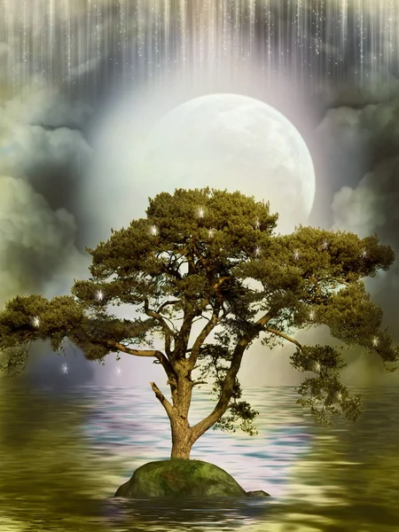 Reflexão em árvore — Fotografia de Stock