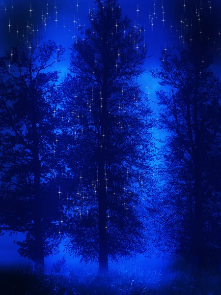 幻想森林 — 图库照片