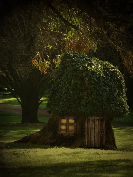 Casa das árvores — Fotografia de Stock