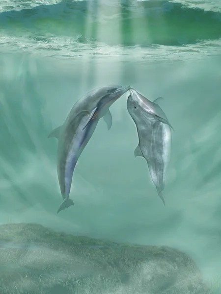 Delfini — Fotografie, imagine de stoc