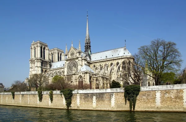 Notre-Dame de Paris og Seinen - Stock-foto