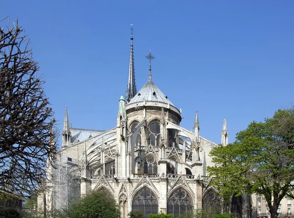 Notre Dame de Paris Parigi — Foto Stock