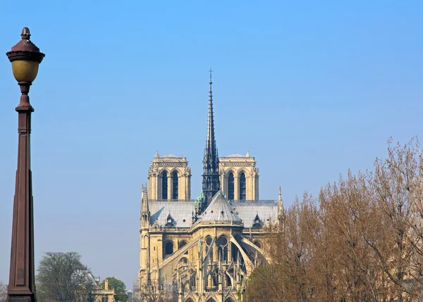 Notre Dame, seen from a bridge in Paris — Stock Photo, Image