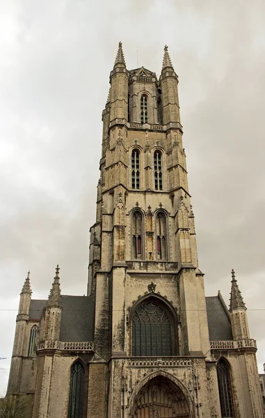 Собор Святого Бавона в Генте — стоковое фото