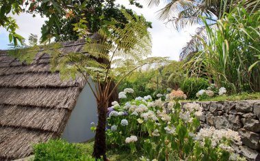 thatched çatı madeira