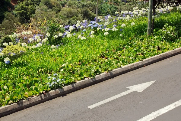 Eine Straße nach Madeira — Stockfoto
