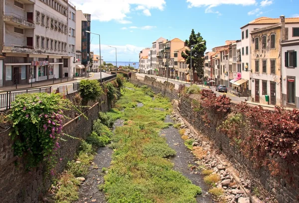 Cama de rio seca no Funchal Madeira Fotos De Bancos De Imagens Sem Royalties