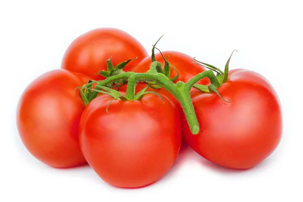 Fresh tomatoes on the vine — Stock Photo, Image