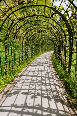 kaplı yolda linderhof castle, Güney Bavyera, Almanya