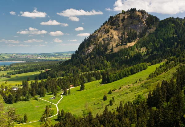 一个视图到巴伐利亚阿尔卑斯山从新天鹅堡 — 图库照片