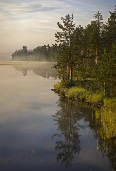 Ranna mgła nad rzeką w halsingland, Szwecja. — Zdjęcie stockowe